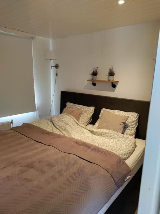 Chalet Midden In De Natuur! Anloo Ngoại thất bức ảnh