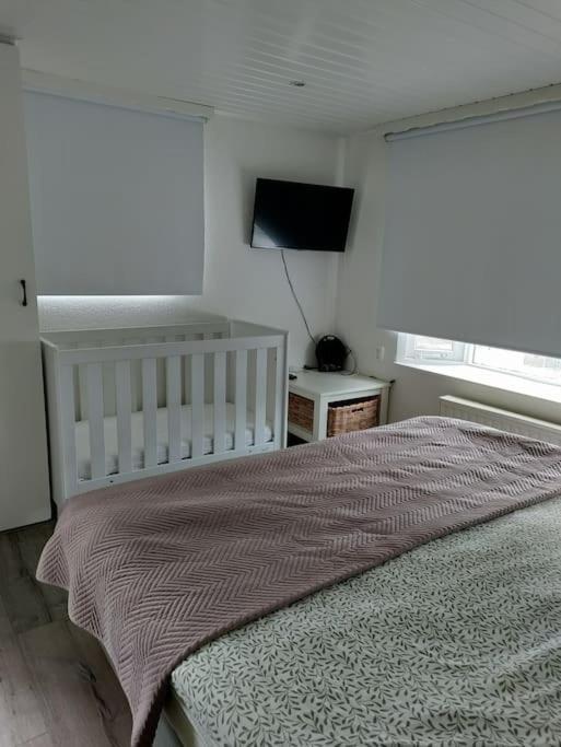 Chalet Midden In De Natuur! Anloo Ngoại thất bức ảnh