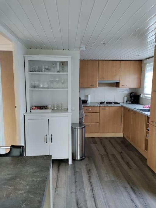 Chalet Midden In De Natuur! Anloo Ngoại thất bức ảnh