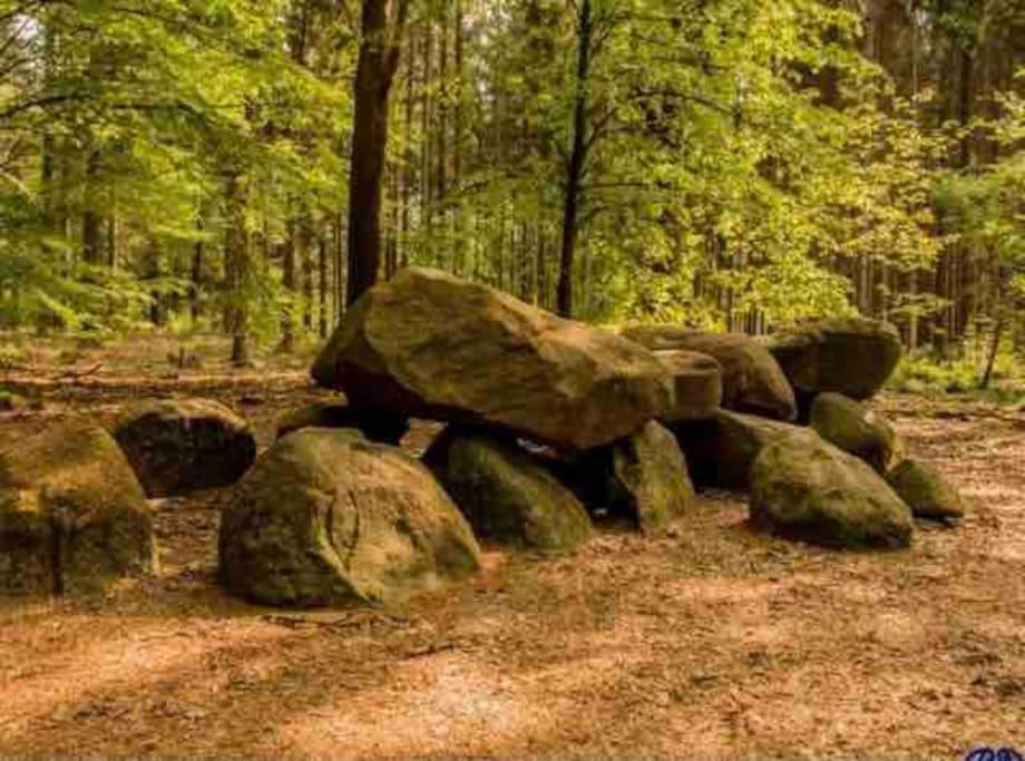 Chalet Midden In De Natuur! Anloo Ngoại thất bức ảnh